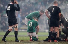 Heaslip and D'Arcy ruled out of final Test against the All Blacks