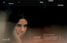 'People see this persona on stage and they read into it': Enigmatic musician PJ Harvey journeys to warzone for new film