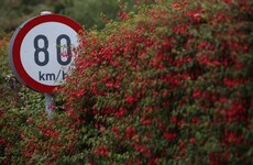 Not happy with a speed limit in your area? Plans underway to allow members of the public to appeal for changes