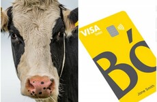 Royal Bank of Scotland has called its new app Bó