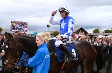 Kemboy cleared to race again following owner's Horse Racing Ireland ban