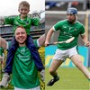 Retiring duo's 'unstinting commitment to Limerick hurling' hailed by management