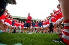 Cork boosted by Fitzgerald return and 'ready to go again, hopefully stronger than ever in January'