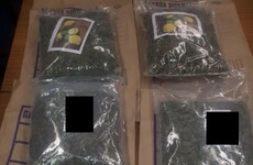 €100,000 of suspected cannabis seized by gardaí in Roscommon