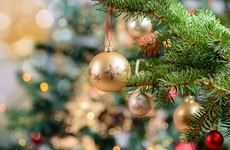 Poll: When are you putting up your Christmas tree?