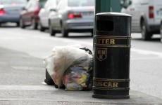 Dublin council removes 48 street bins to deter illegal dumping