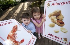 'Incorrect and inconsistent': Food businesses criticised over allergen controls