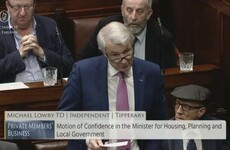 Michael Lowry says 'slanderous, vicious, malicious, vindictive, false allegations' were made in Dáil about his tax affairs