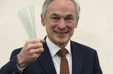 Turkey is still on the table, but climate minister Richard Bruton is planning a more sustainable Christmas
