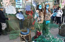 Mermaids at Leinster House as protest calls for end to overfishing
