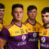What do you think of Wexford GAA's new jersey for 2020?