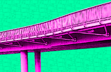 A bridge too far? "It looked like the river bed was being devastated"