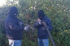Rising gang violence has seen armed officers sent to Longford - but is the Garda crackdown working?