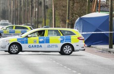 Gardaí ruled out terrorism links in 'random' Dundalk killing, court hears