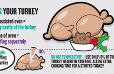 'Don’t wash the turkey' and other important tips to prevent making your loved ones ill this Christmas