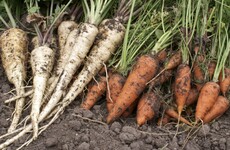 From the Garden: Eat your (locally grown) vegetables this Christmas