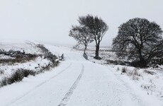Dreaming of a white Christmas? Evelyn Cusack says it looks like conditions will be too mild