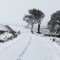 Dreaming of a white Christmas? Evelyn Cusack says it looks like conditions will be too mild