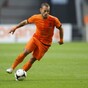 Mole to blame for Netherlands exit - Sneijder
