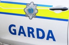 Three charged over seizure of cocaine and cannabis worth €900k in Louth