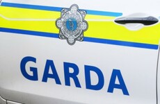 Three charged over seizure of cocaine and cannabis worth €900k in Louth