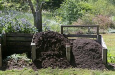 From the Garden: Get over your squeamishness - manure is gold dust for your veg patch