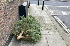 Poll: Are you bringing your Christmas tree to a disposal facility?