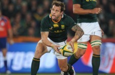 Summer tour: Potgieter one of three changes for Springboks