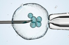 €2 million in funding for IVF and fertility treatment set to be announced by government