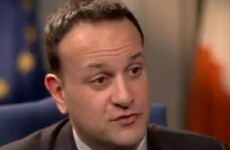 Varadkar says Verona Murphy and Dara Murphy have caused Fine Gael 'reputational damage'