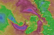 Fallen trees and power outages after Storm Elsa causes damage in the west and south