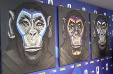 Serie A monkey artist apologises