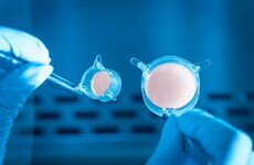 Skin in the game: How Irish company Integumen is blending AI, cloning and skincare