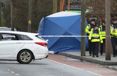Asylum seeker who stabbed Japanese man to death committed to Central Mental Hospital