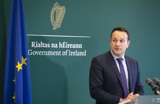 Taoiseach says he'll meet Micheál Martin for new year talks about keeping this government going