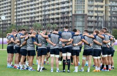 Poll: The best Irish rugby player of 2019