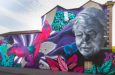 'Blatant disrespect': David Attenborough mural vandalised with 'climate hoax' graffiti