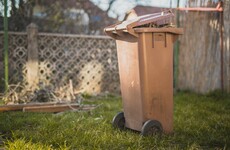 Mandatory brown bin collections could be introduced under new waste strategy