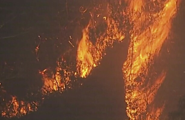 Firefighters in Australia share footage of truck being overrun by bushfires