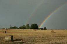 Farm injuries rise by 35 per cent in 5 years