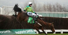 Champ crashes out with Dipper Novices' Chase at his mercy