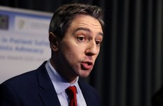 Simon Harris said he was 'appalled' by protesters outside the National Maternity Hospital today