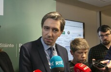 'How dare you': Minister slams protesters who demonstrated outside the National Maternity Hospital