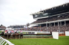 Johnny Ward: Cheltenham should be careful what it wishes for with five-day debate
