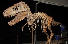 US to seize dinosaur skeleton and return it to Mongolia