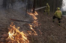 Australia to pay ‘whatever it takes’ to deal with wildfires