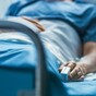 Harris summoned before emergency Health Committee meeting as 621 people wait on trolleys
