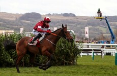 Elliott: Tiger Roll 'is in great nick' and 'will definitely make' Cheltenham