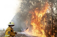 Australian wildfires: new evacuation notices issued as area the size of Ireland now scorched by blazes