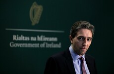 'This government's race is firmly ran': Independent TDs plan no-confidence motion in Simon Harris